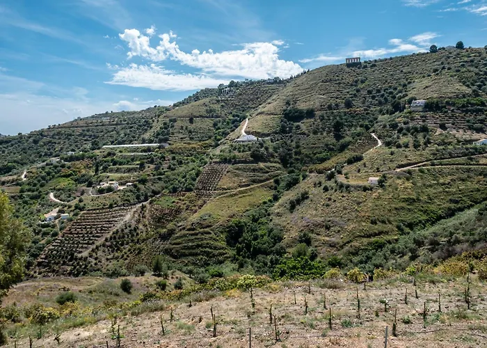 Cortijo Sergio