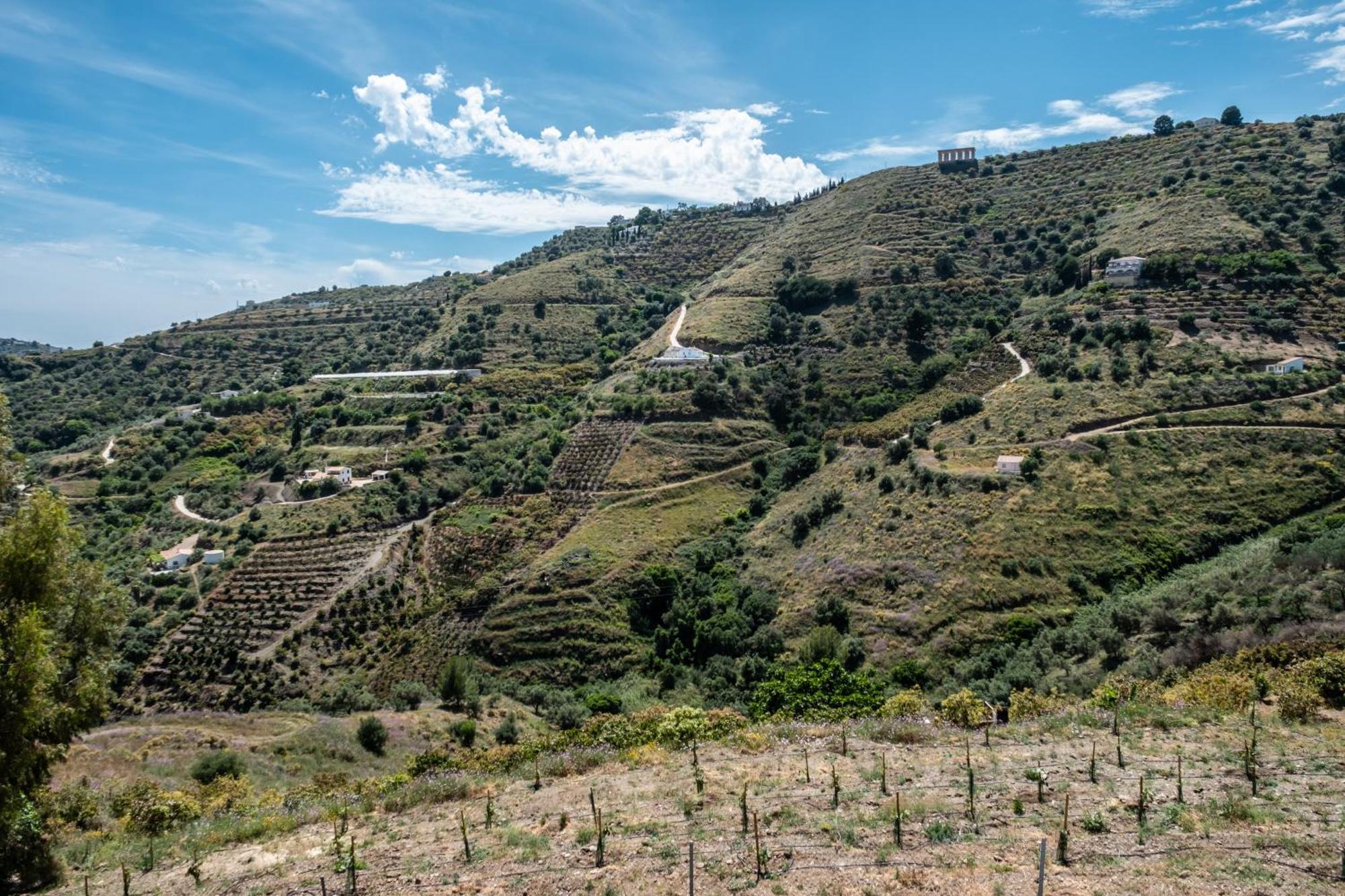 Cortijo Sergio Torrox
